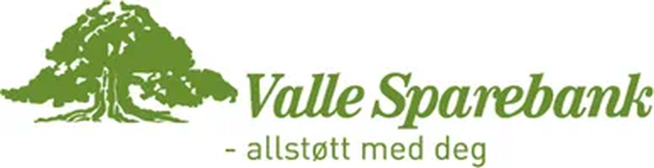 Valle Sparebank logo